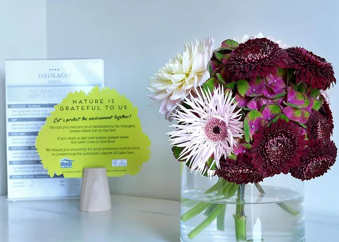 Iseo Lago Hotel Iseo